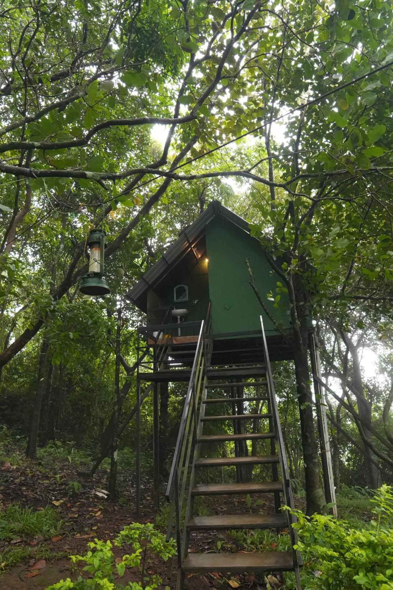 Regina Silva Camping & Nature Resort Paithalmala Exterior foto